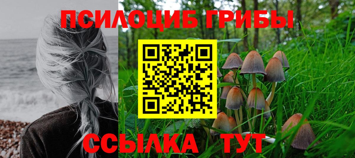 Смоленск  Псилоцибиновые грибы мицелий  Вход с VPN 
